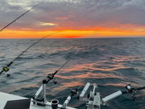 fishing charter