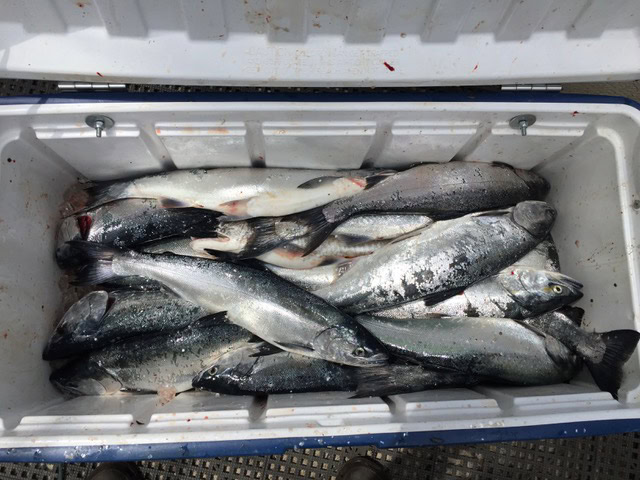 Fishing Lake Michigan