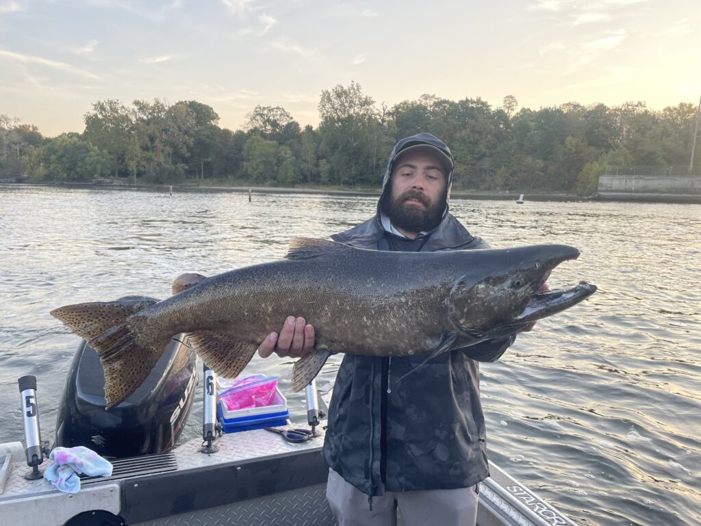 St. Joe River salmon run